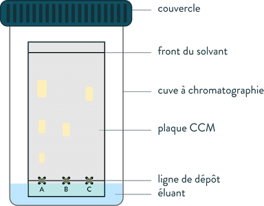 Cuve à CCM