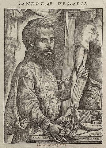 AndréVésale